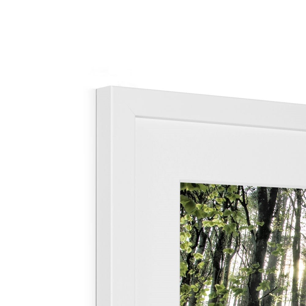 "Bella's Wood" Framed & Mounted Print