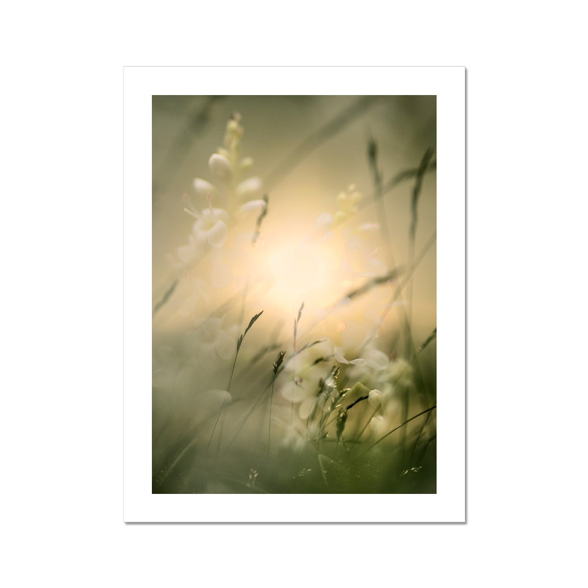 " Fantasia " Fine Art Print