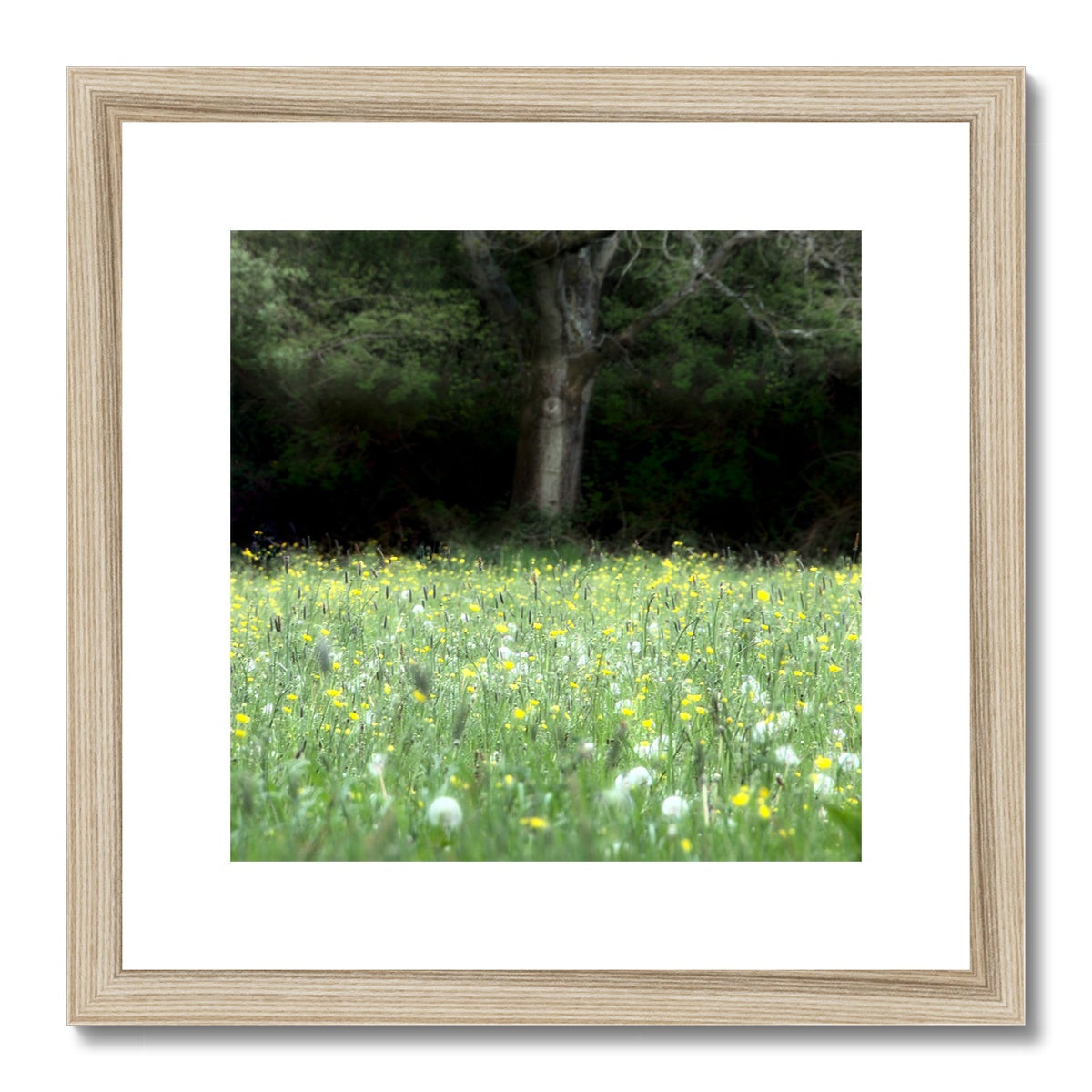 " In the Meadow " Framed & Mounted Print