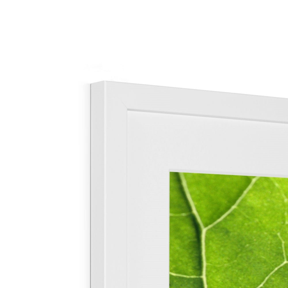 "Veins" Framed & Mounted Print