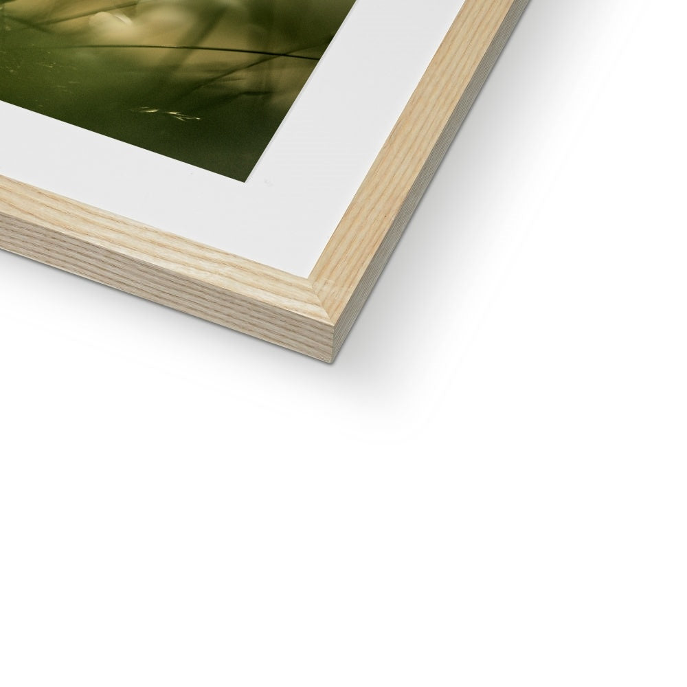 " Fantasia " Framed & Mounted Print