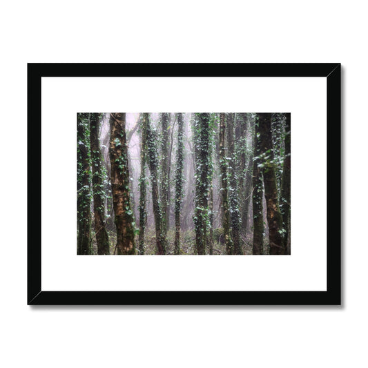 " Misty Trees #1 " Framed & Mounted Print