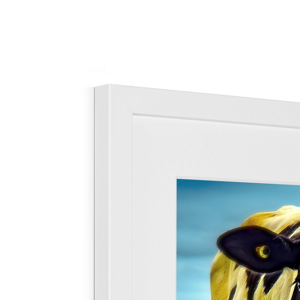 "Silly Cow - Photo Art" Framed & Mounted Print