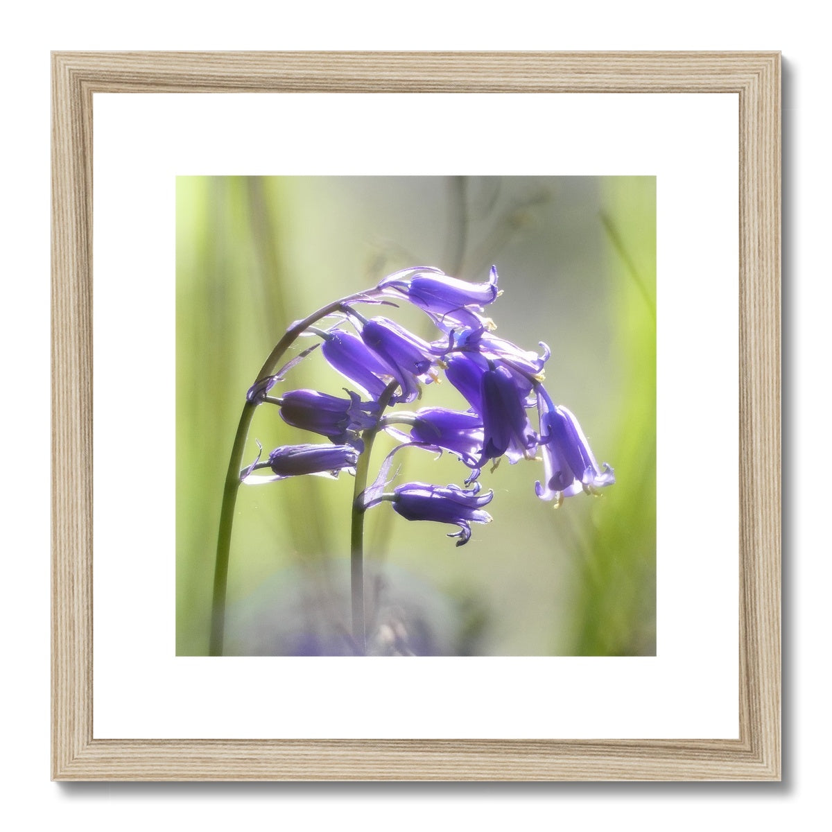 "The Bells" Framed & Mounted Print