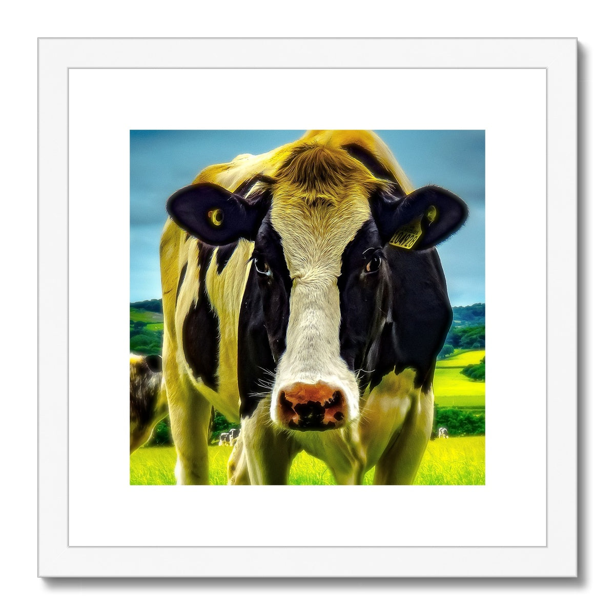 "Silly Cow - Photo Art" Framed & Mounted Print