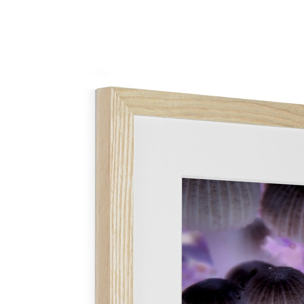 "Shroom Disco" Framed & Mounted Print