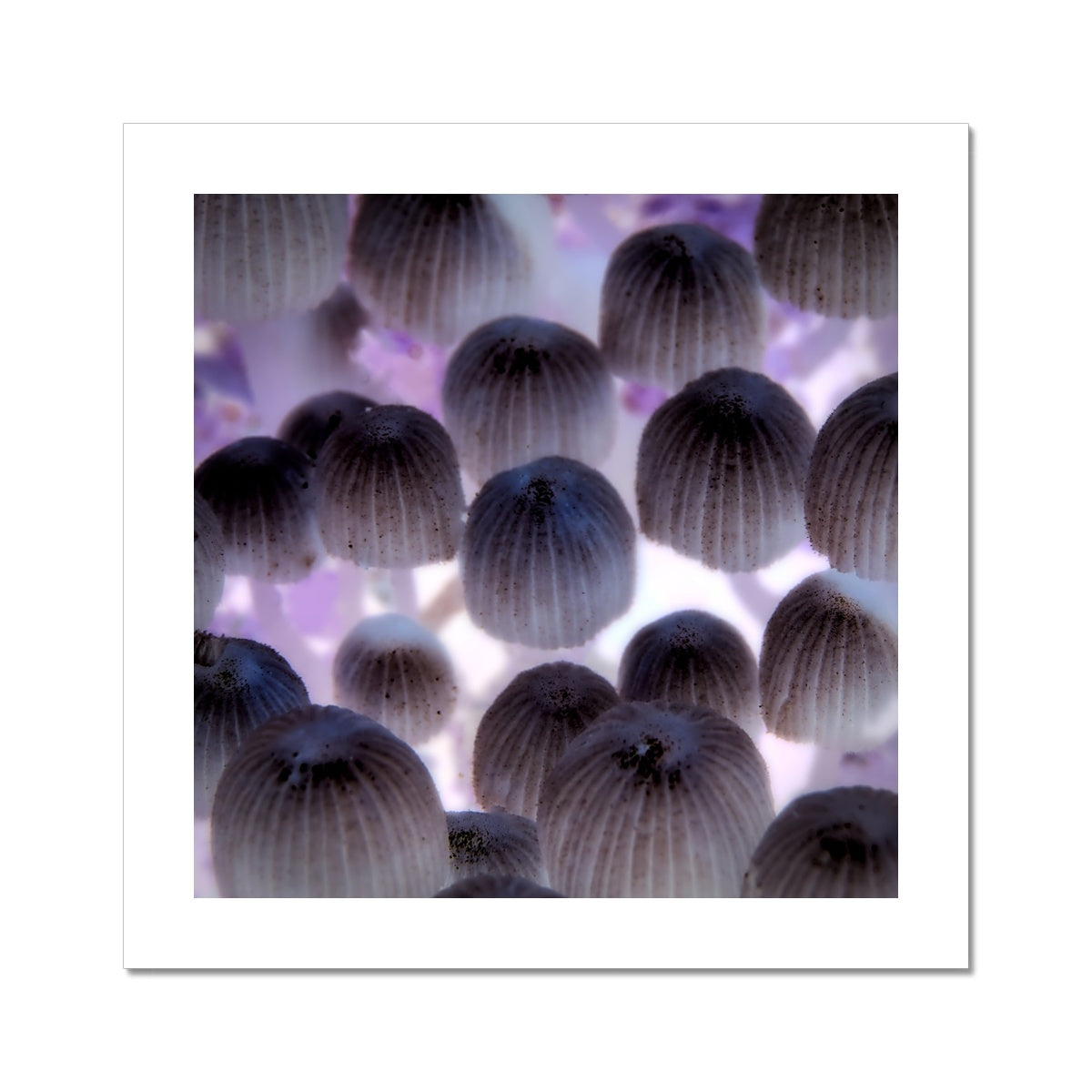 "Shroom Disco" Fine Art Print
