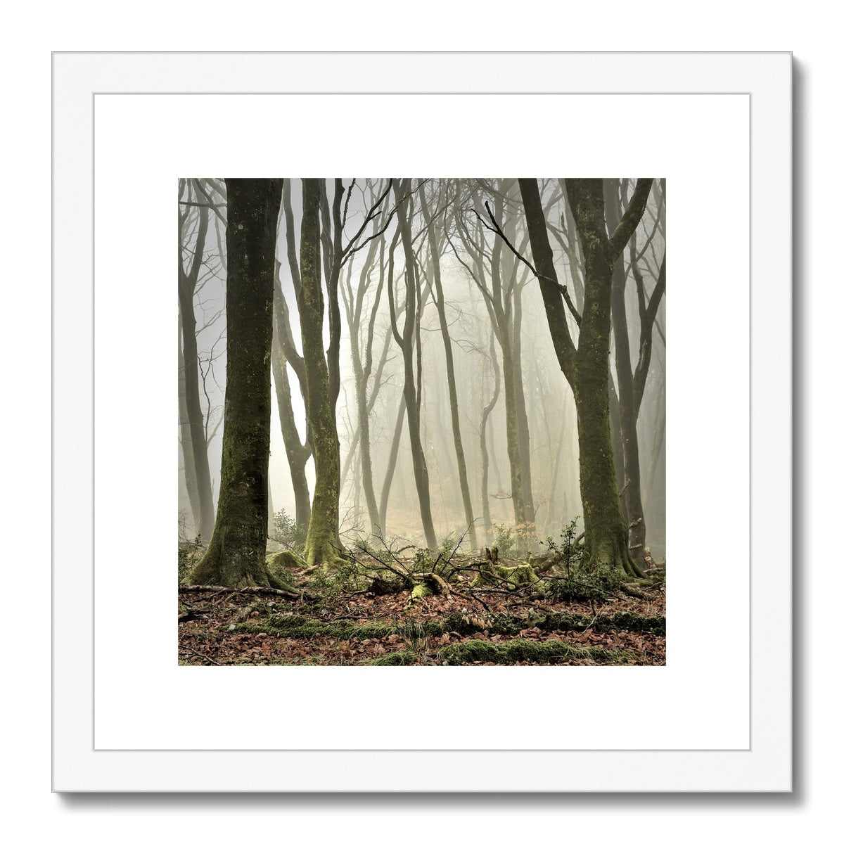 " Misty Trees #2 " Framed & Mounted Print