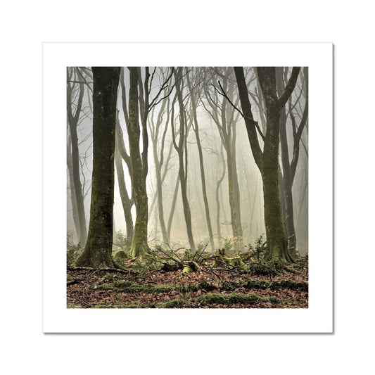 " Misty Trees #2 " Fine Art Print