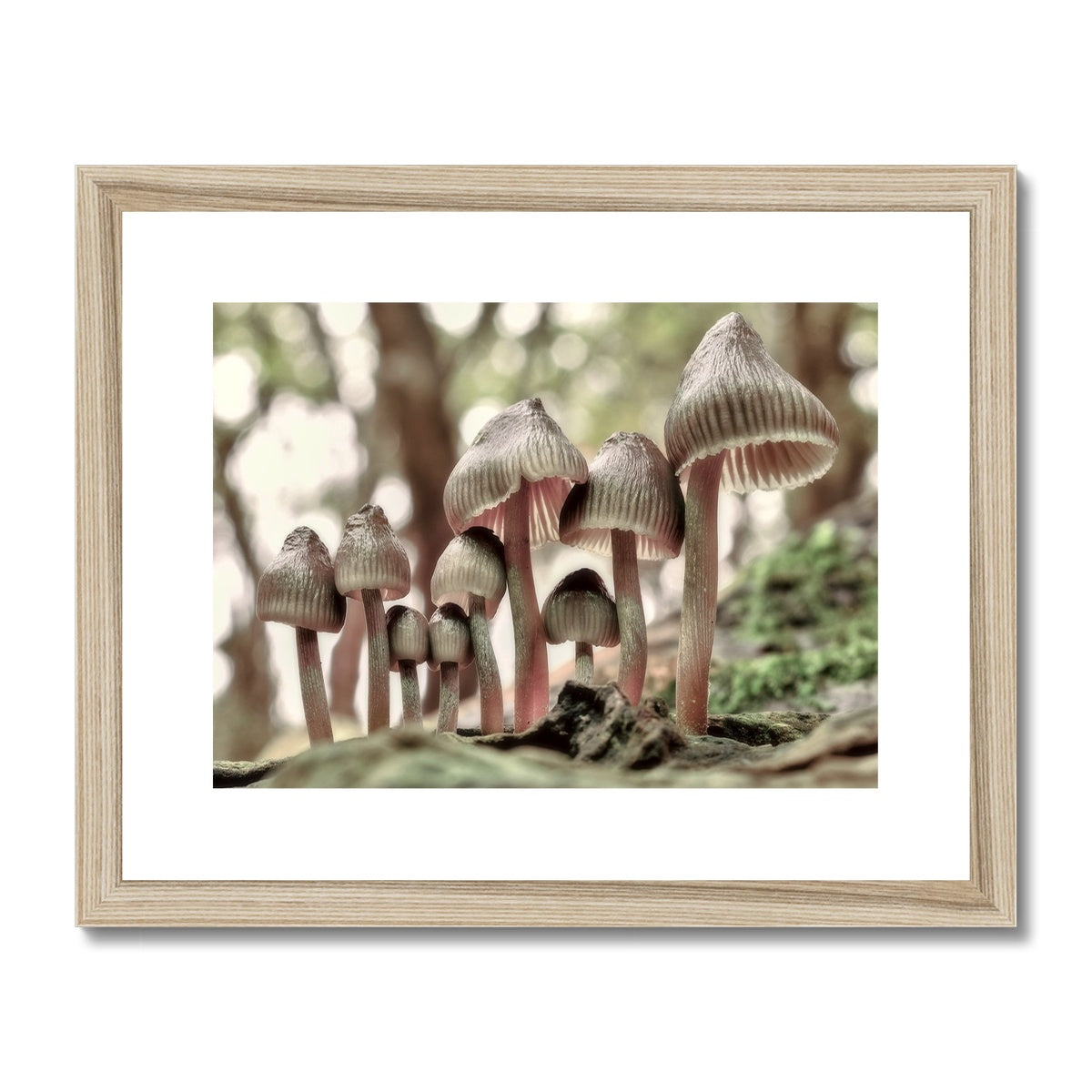 "Family Portrait" Framed & Mounted Print