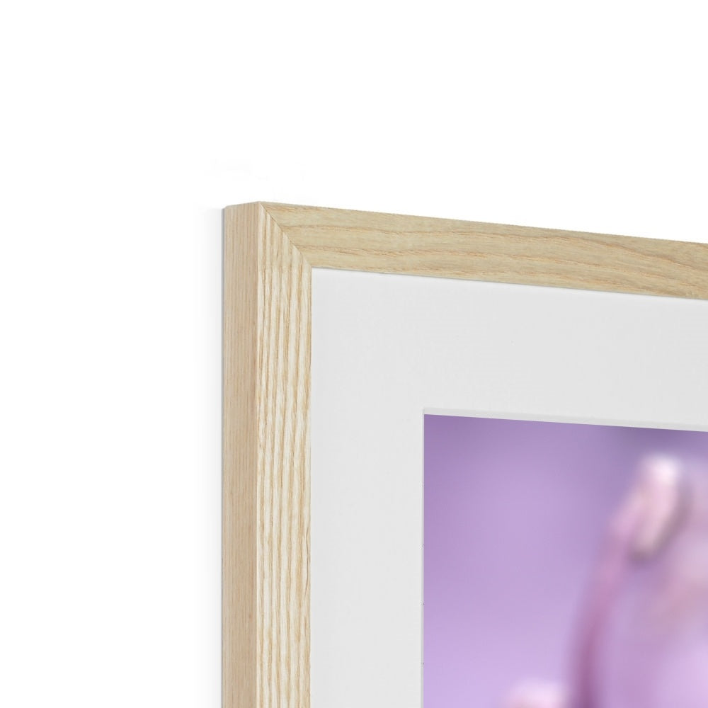 "In To The Light" Framed & Mounted Print