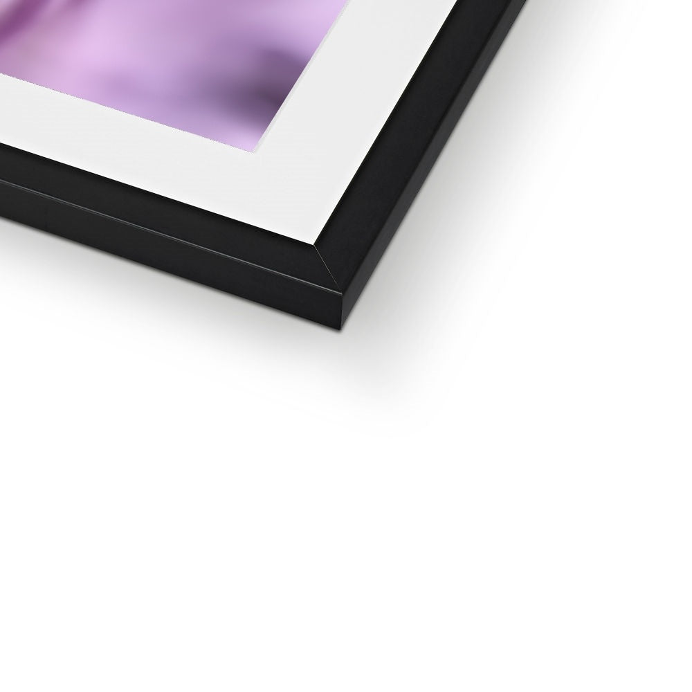 "In To The Light" Framed & Mounted Print
