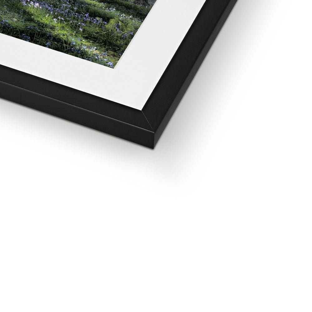 "Bella's Wood" Framed & Mounted Print