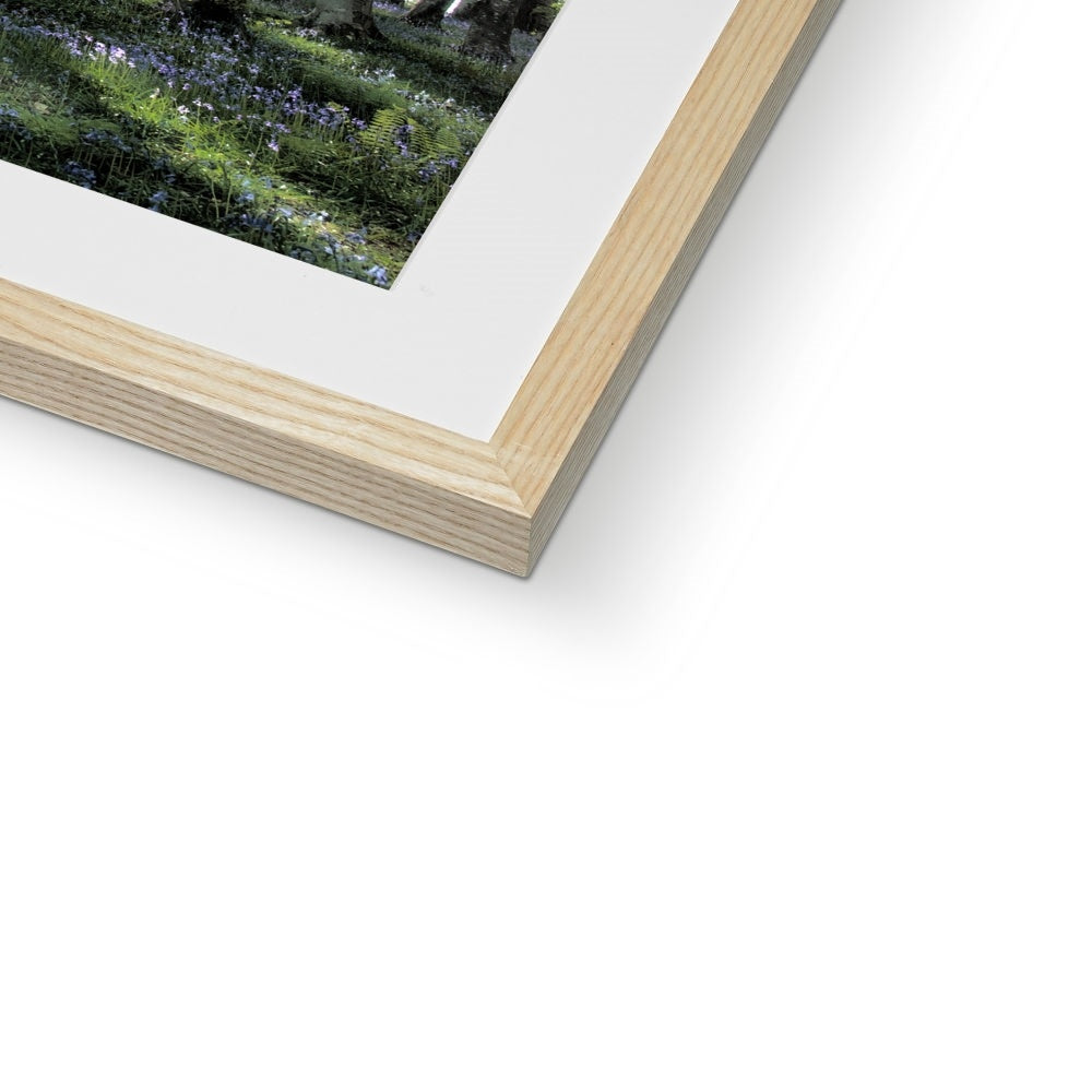 "Bella's Wood" Framed & Mounted Print
