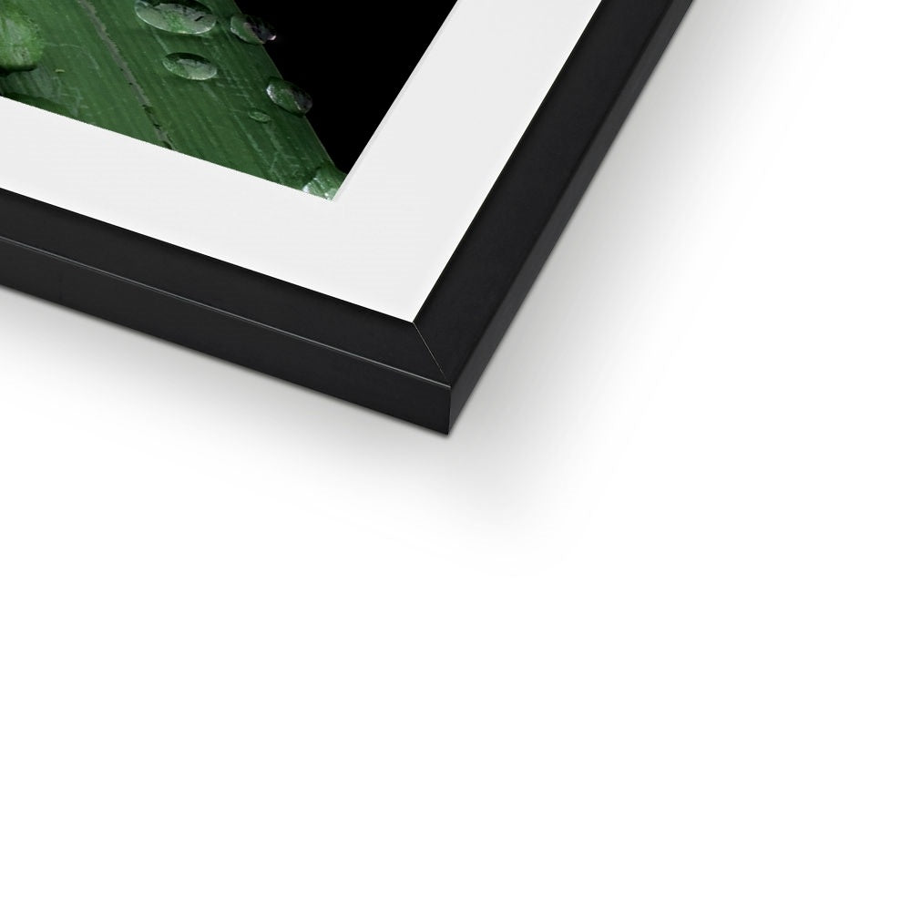 "Crossroads" Framed & Mounted Print