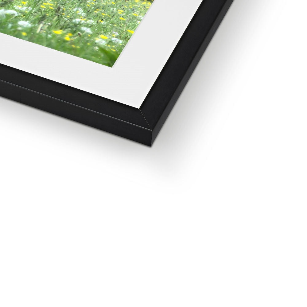 " In the Meadow " Framed & Mounted Print