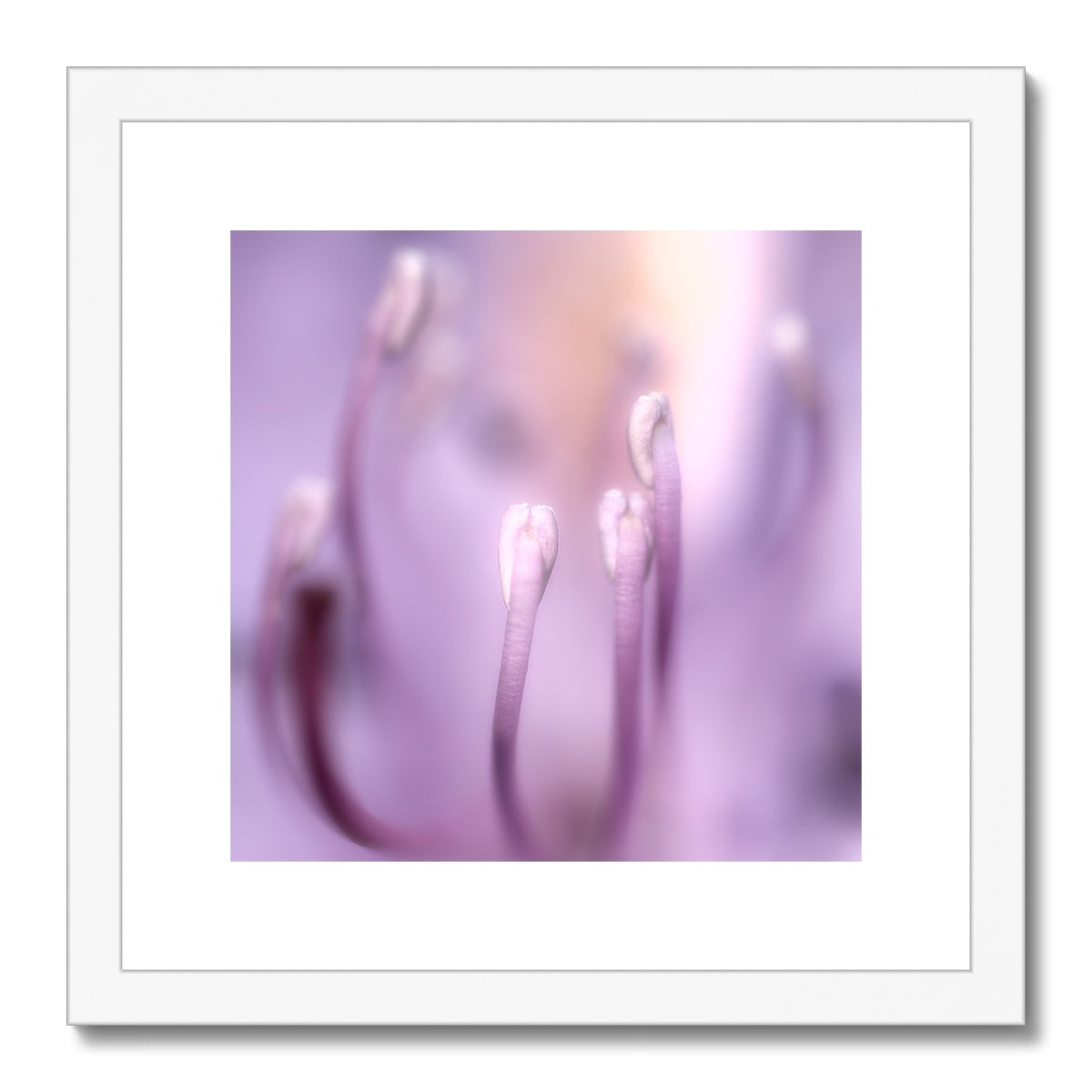 "In To The Light" Framed & Mounted Print