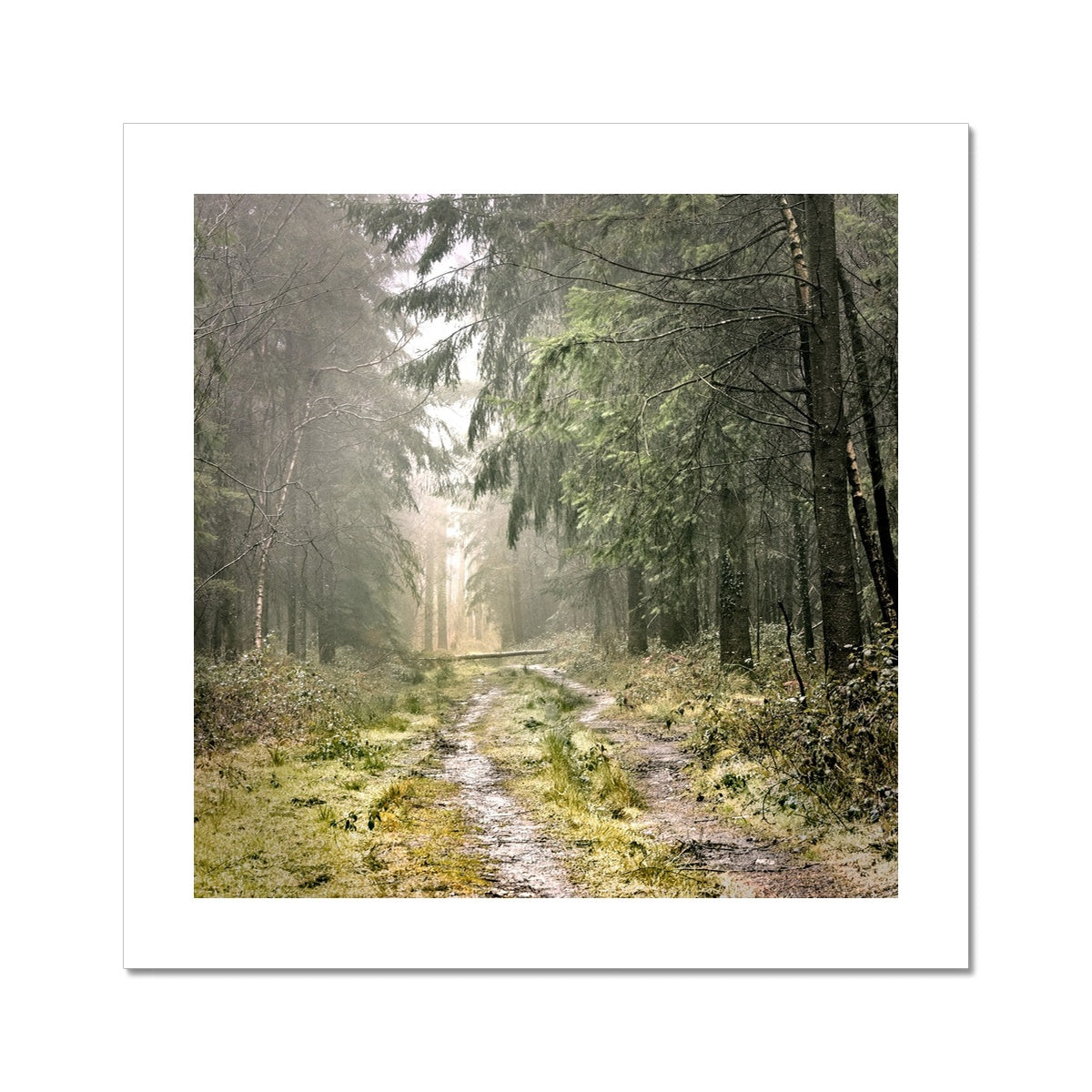 "Wetlands" Fine Art Print