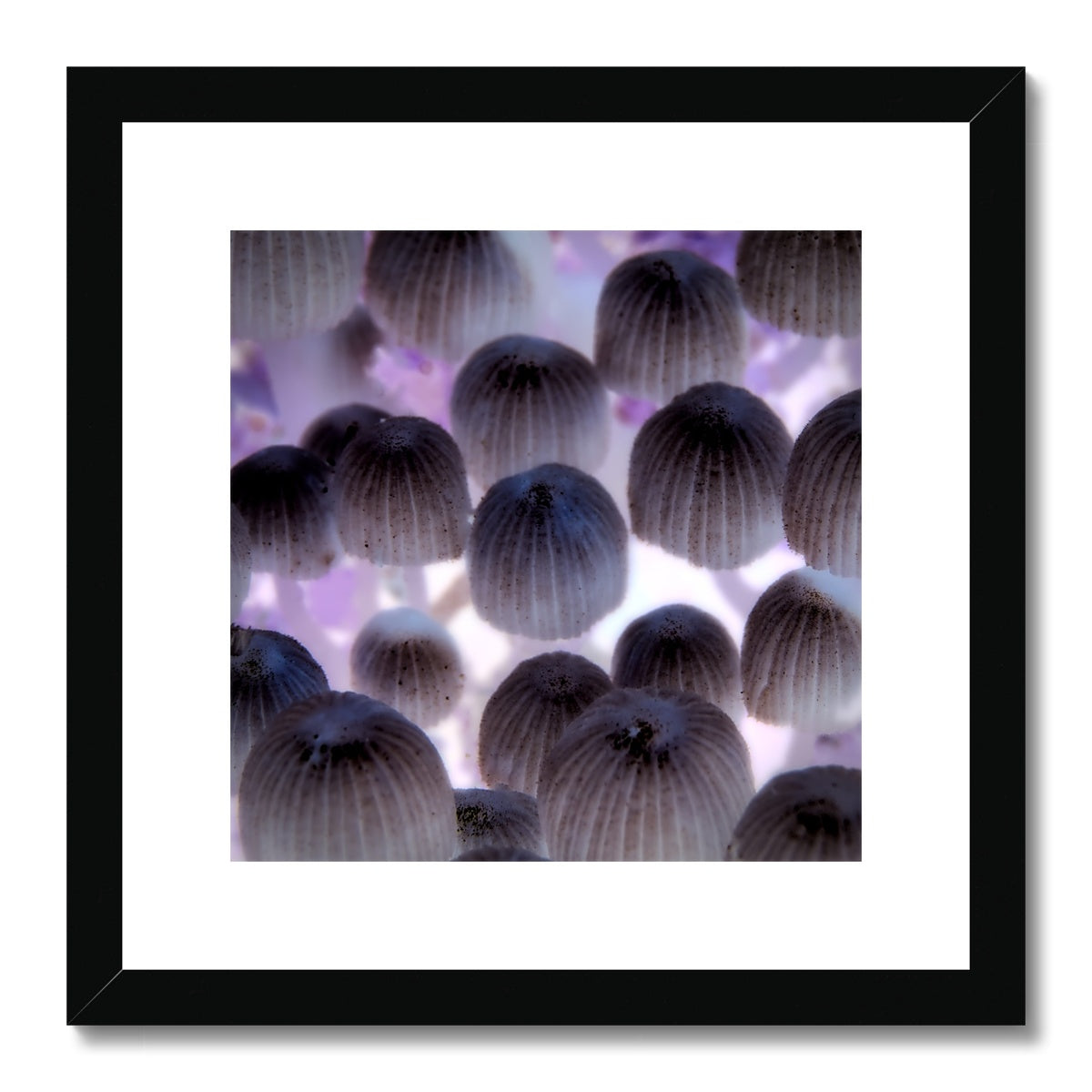 "Shroom Disco" Framed & Mounted Print