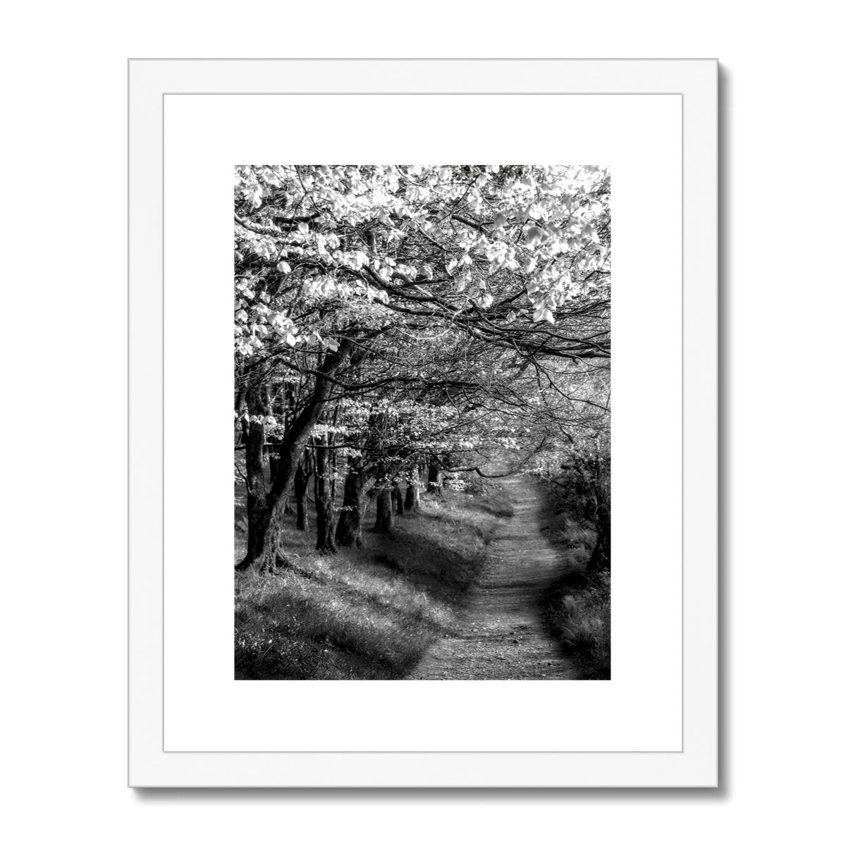 " Homeward Bound " Framed & Mounted Print