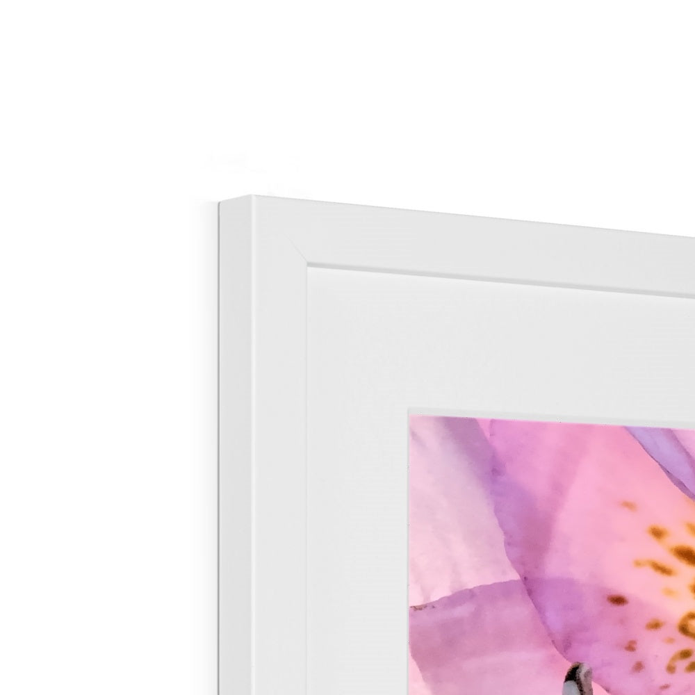 "Lily Peru" Framed & Mounted Print
