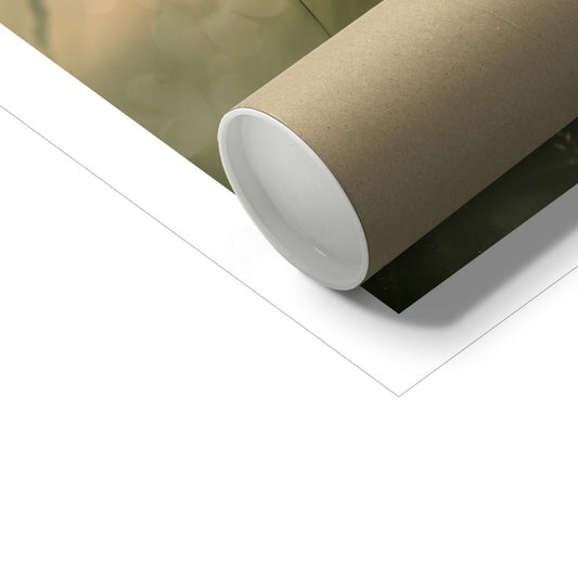 " Fantasia " Fine Art Print