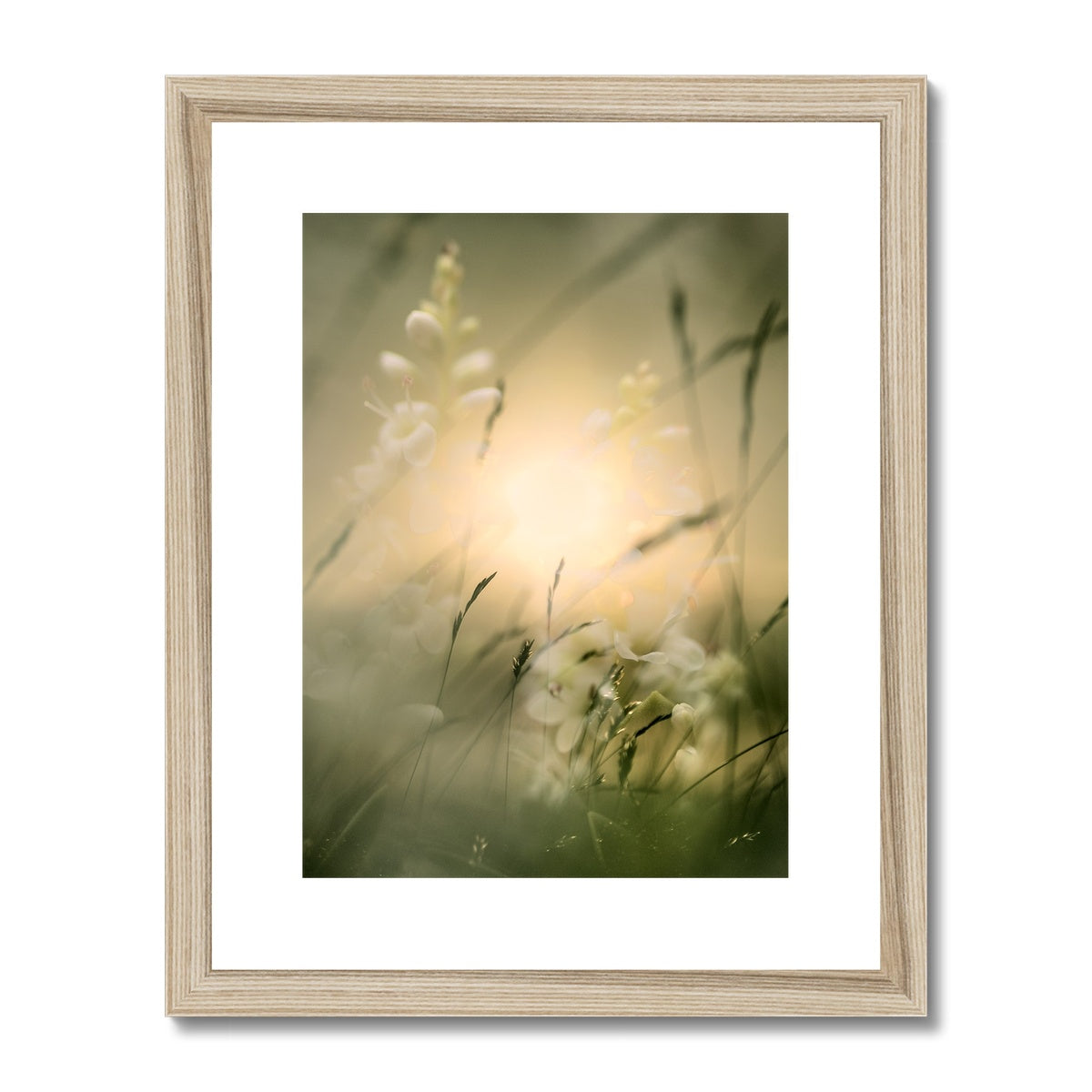 " Fantasia " Framed & Mounted Print