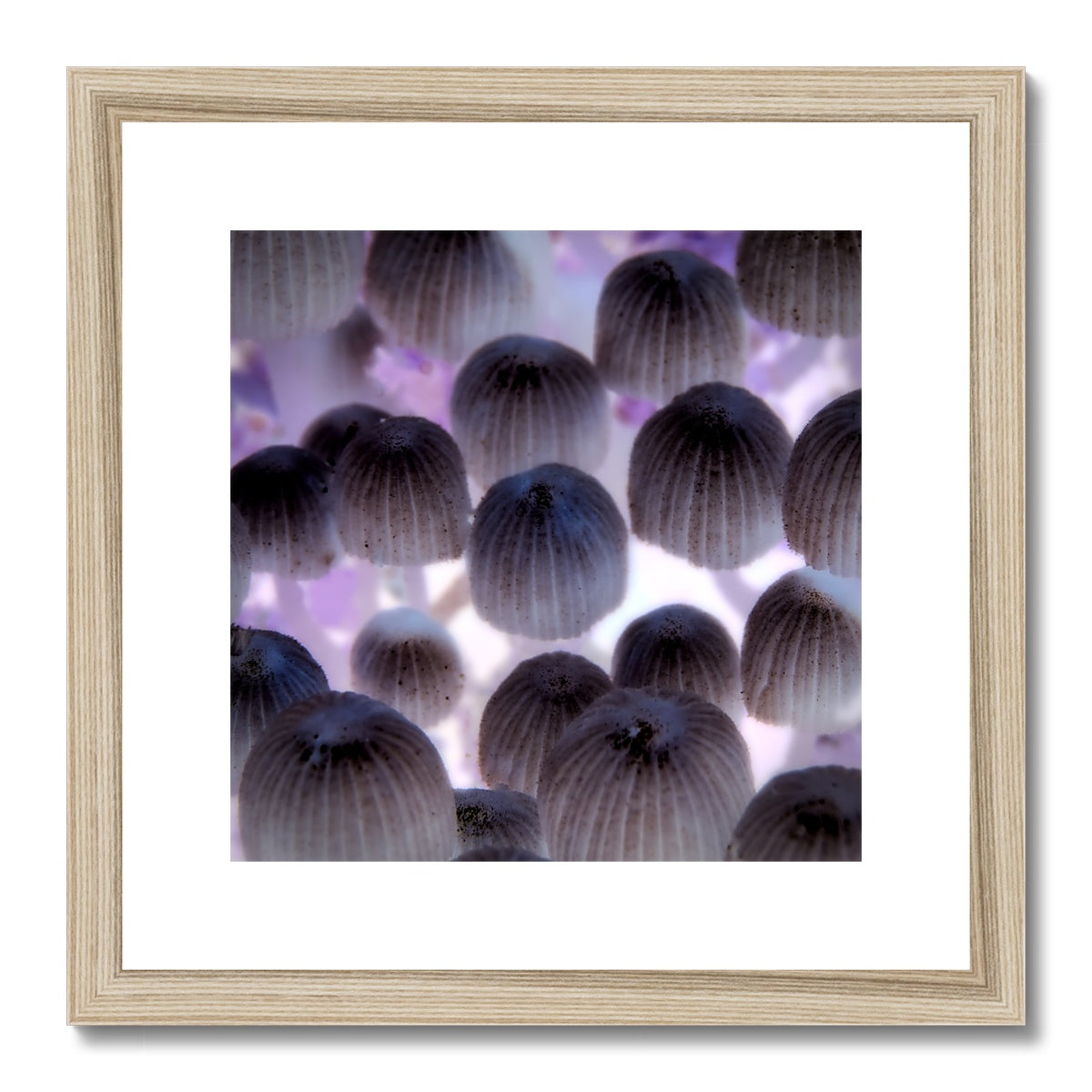 "Shroom Disco" Framed & Mounted Print