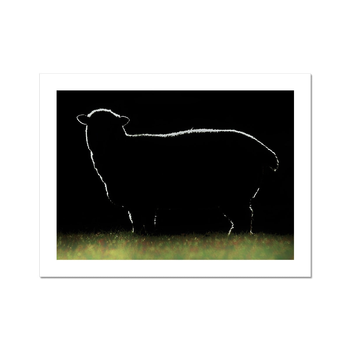 " Wolf - Photo Art " * Fine Art Print