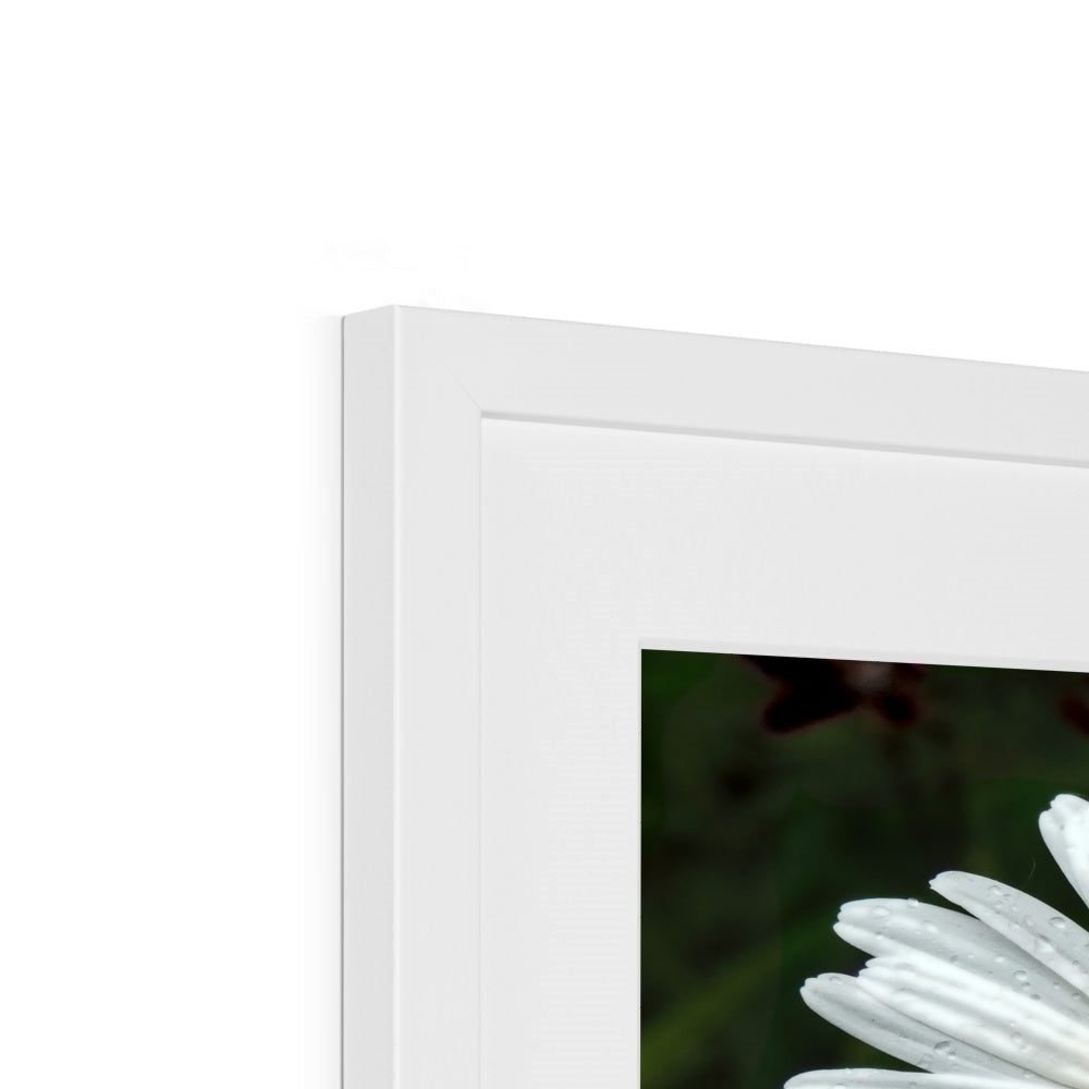 "Daze" Framed & Mounted Print