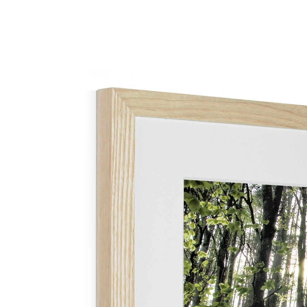 "Bella's Wood" Framed & Mounted Print