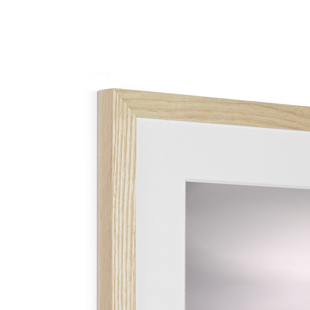 "Insex" Framed & Mounted Print