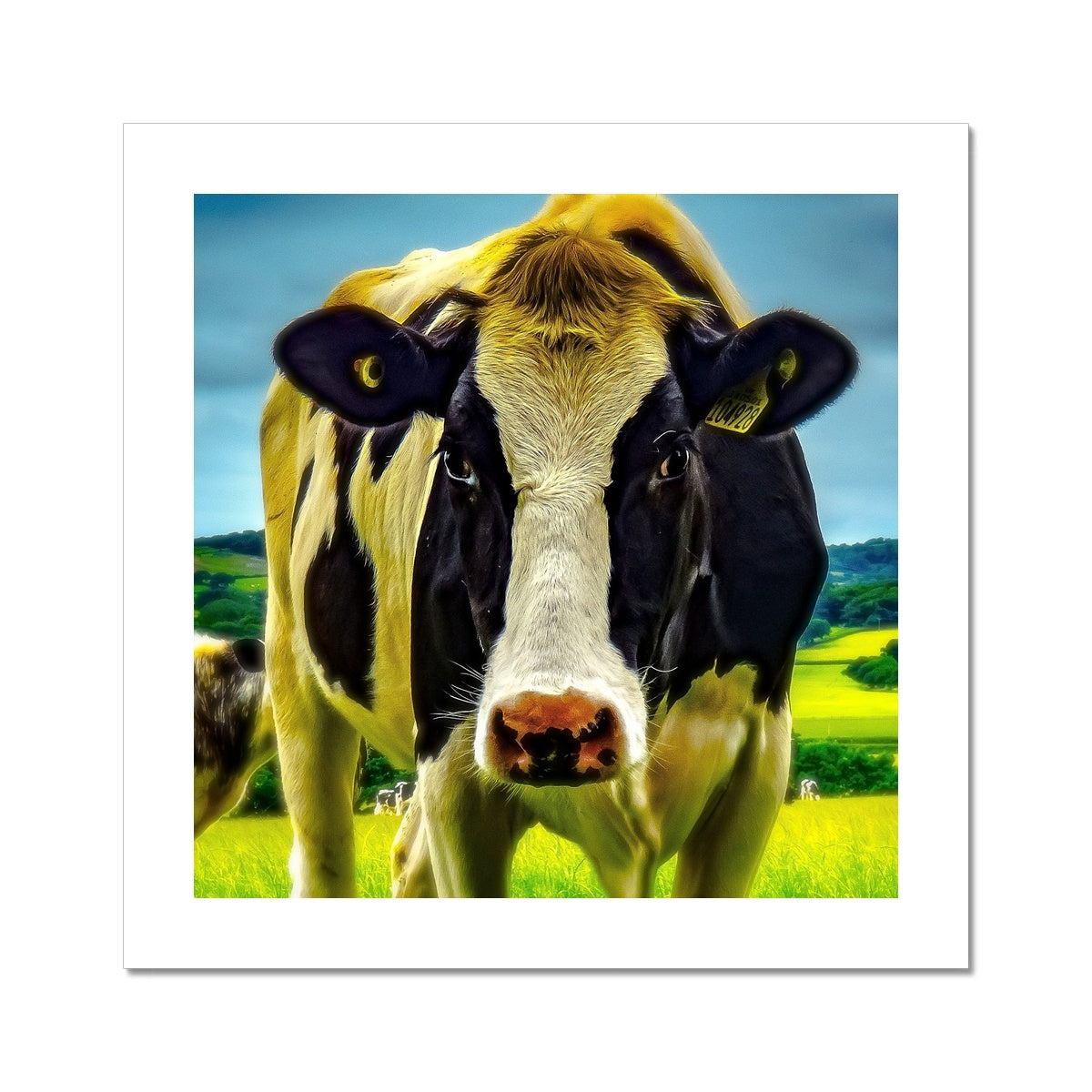"Silly Cow - Photo Art" Fine Art Print