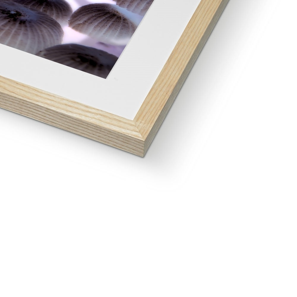 "Shroom Disco" Framed & Mounted Print