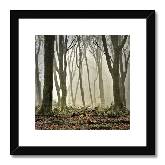 " Misty Trees #2 " Framed & Mounted Print