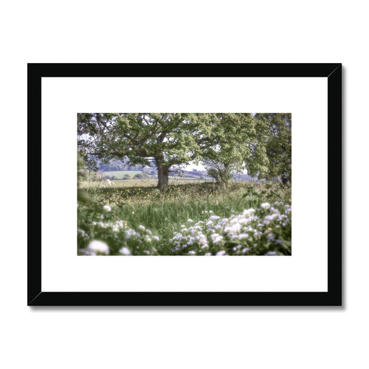 image0