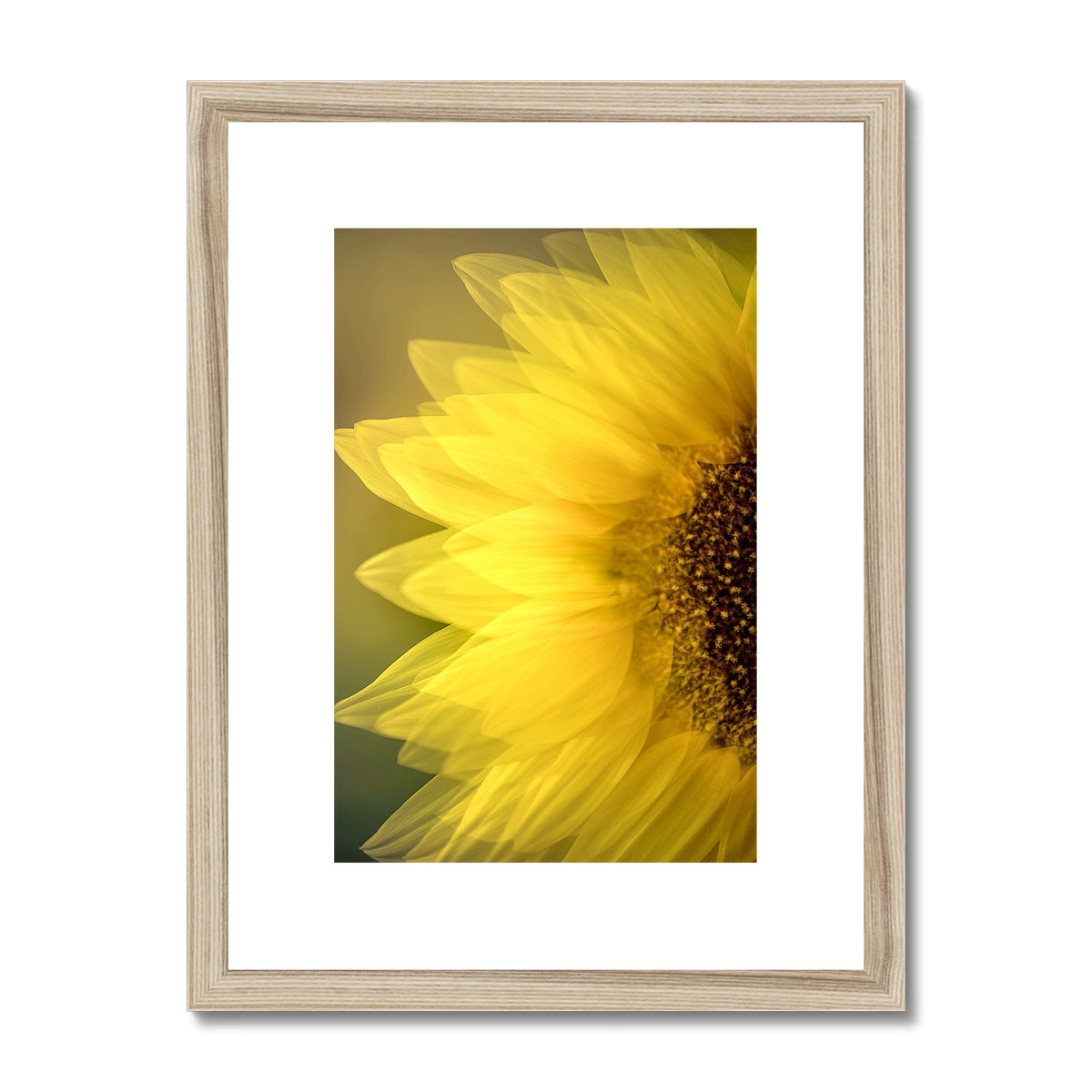 " Late Bloomer " Framed & Mounted Print