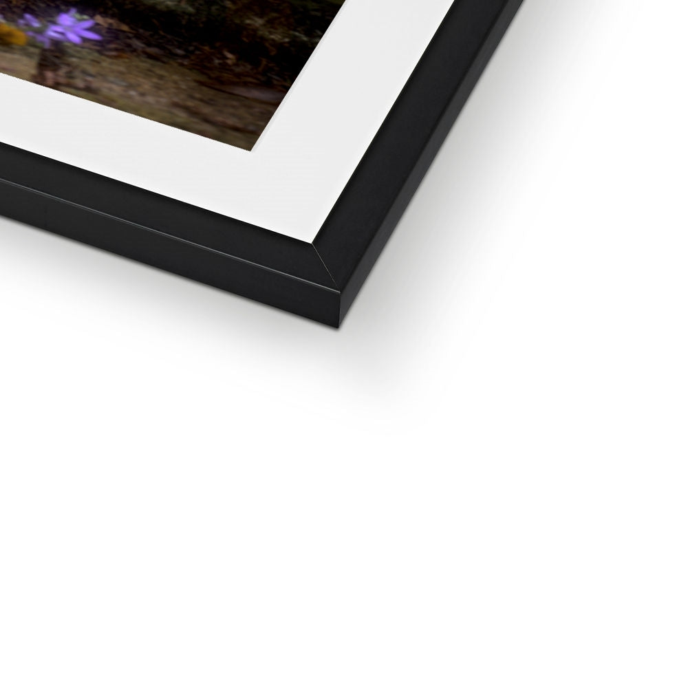 image0
