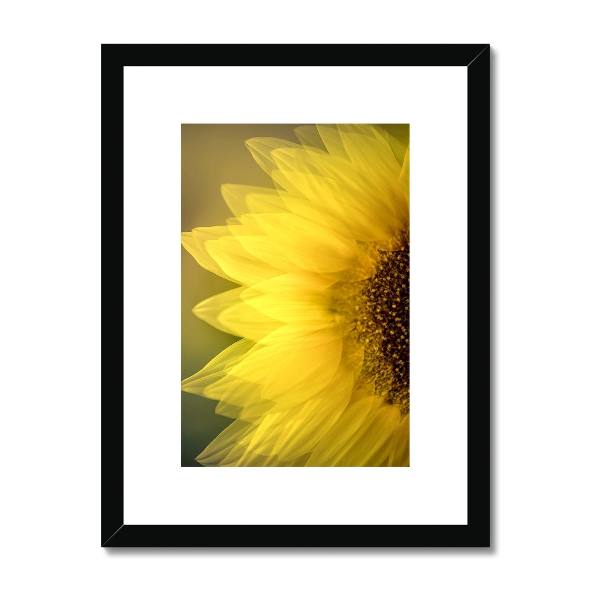 " Late Bloomer " Framed & Mounted Print