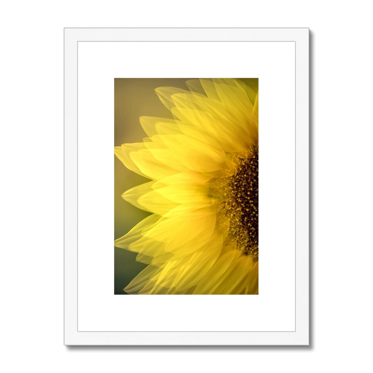 " Late Bloomer " Framed & Mounted Print
