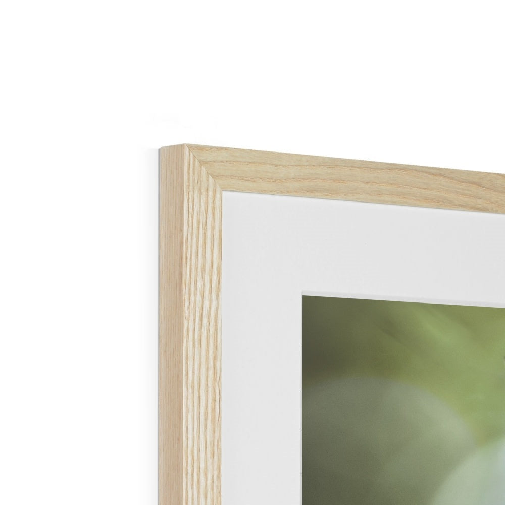 "Bella" Framed & Mounted Print
