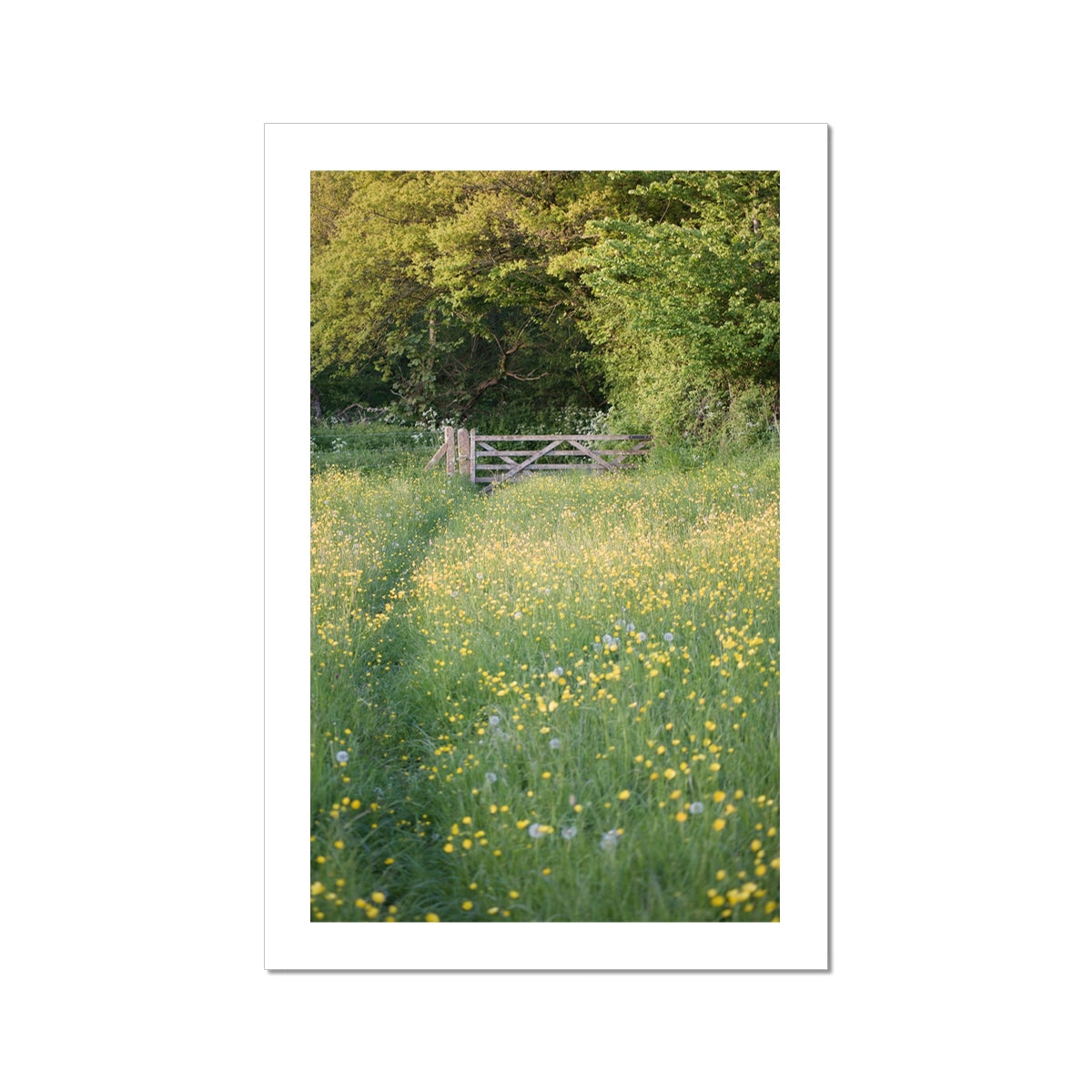 image0