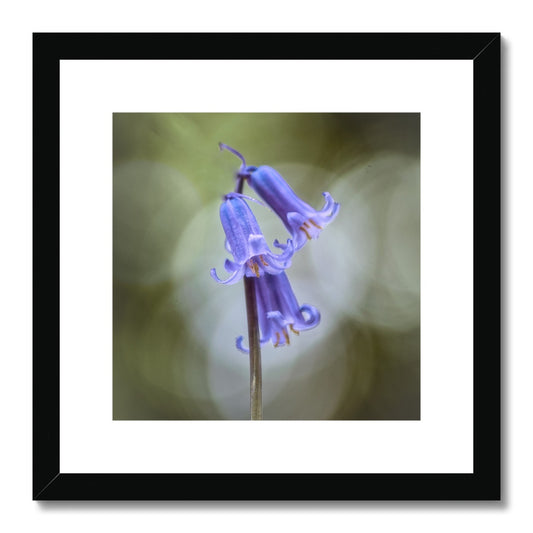 "Bella" Framed & Mounted Print
