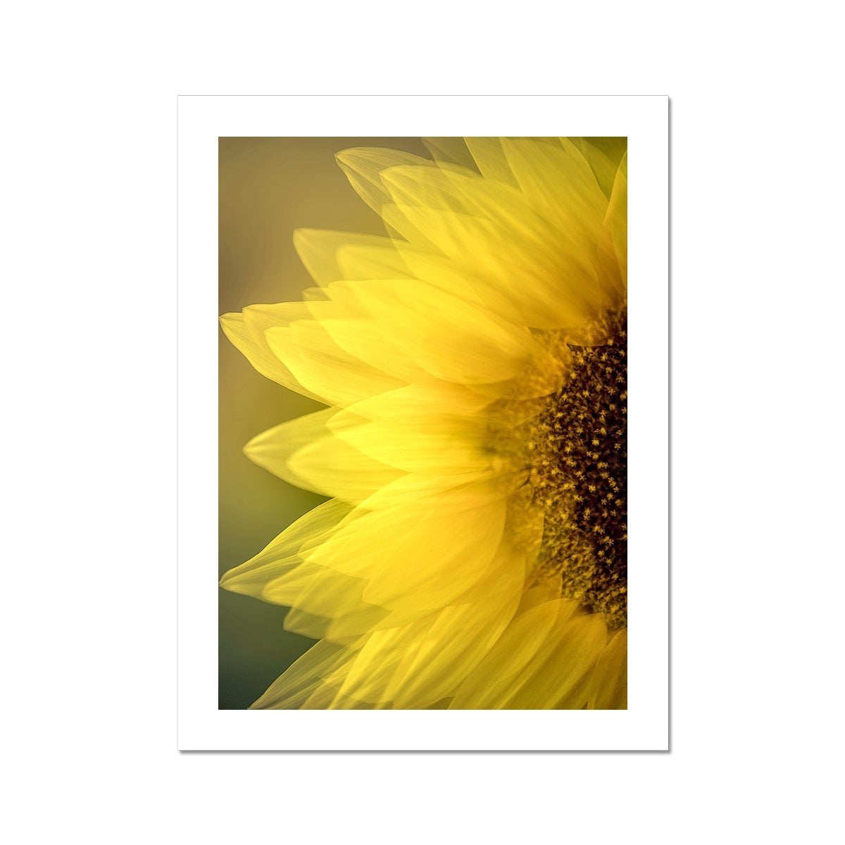 " Late Bloomer " Fine Art Print
