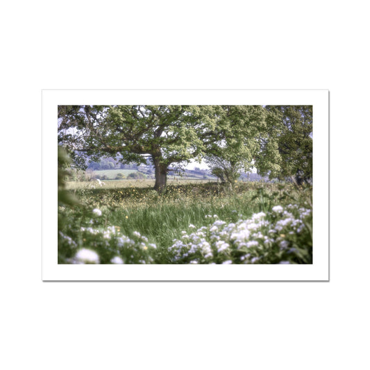 image0