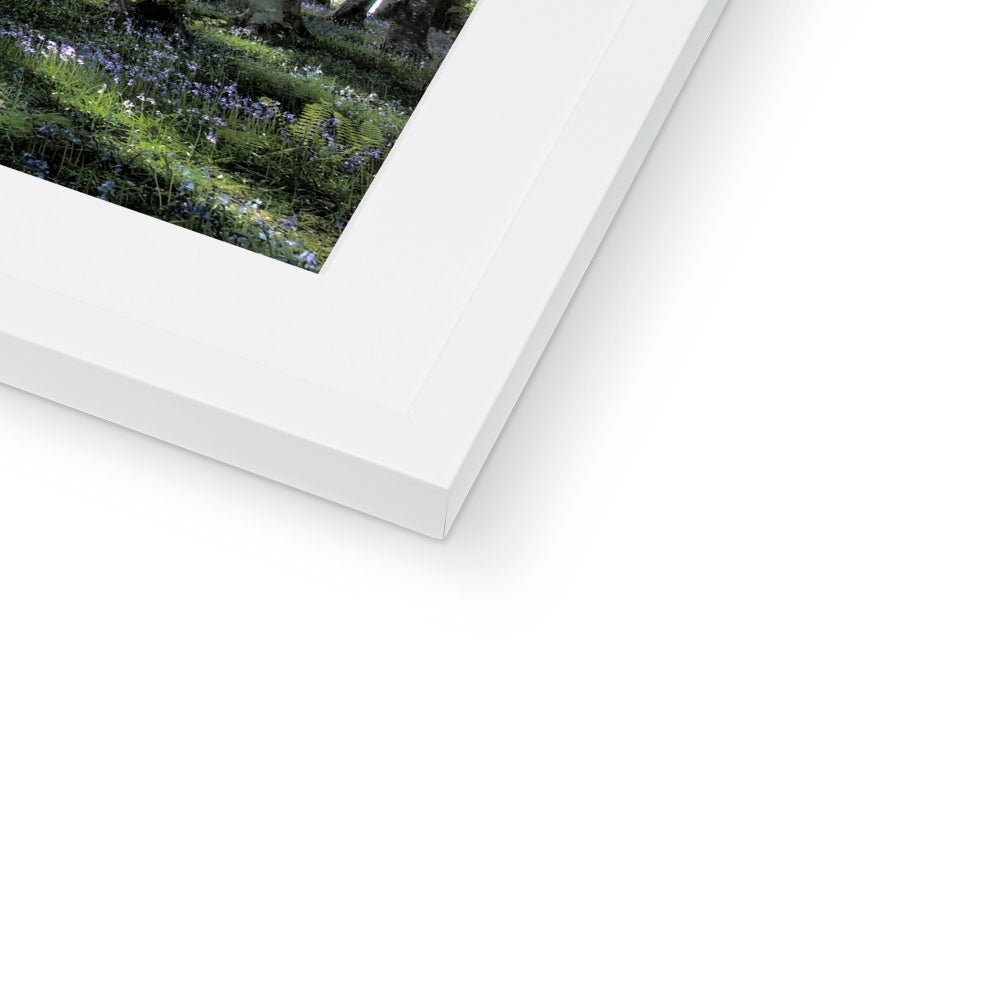 "Bella's Wood" Framed & Mounted Print