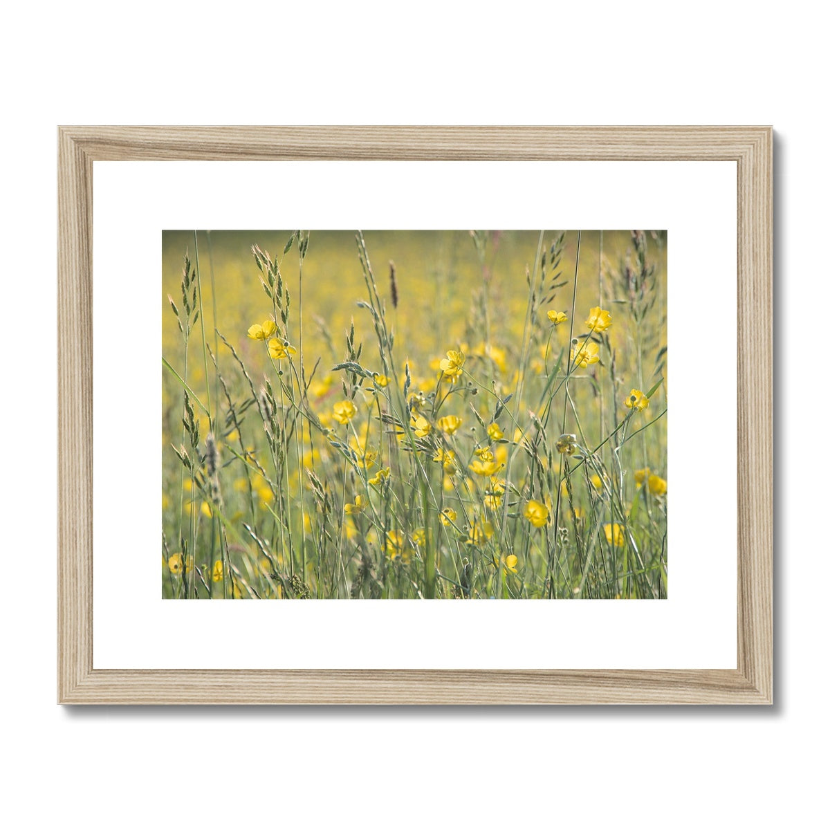 "The Long Grass" Framed & Mounted Print