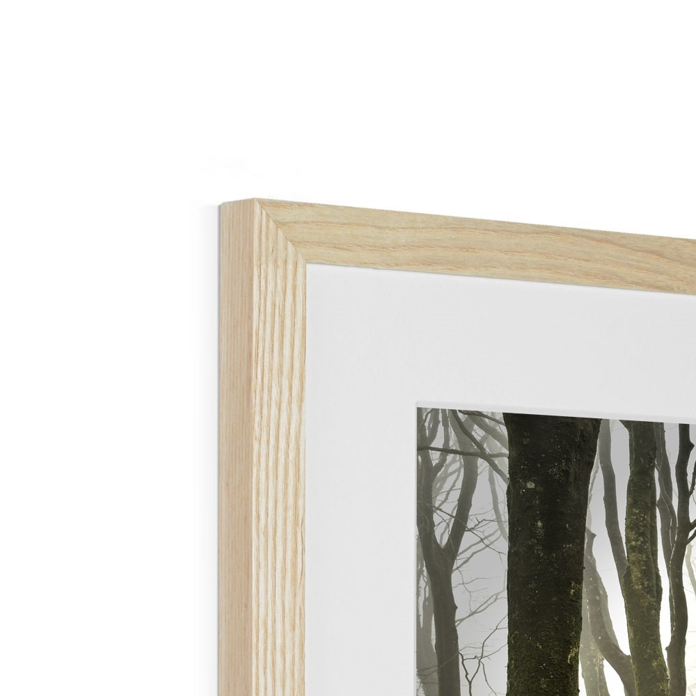 " Misty Trees #2 " Framed & Mounted Print