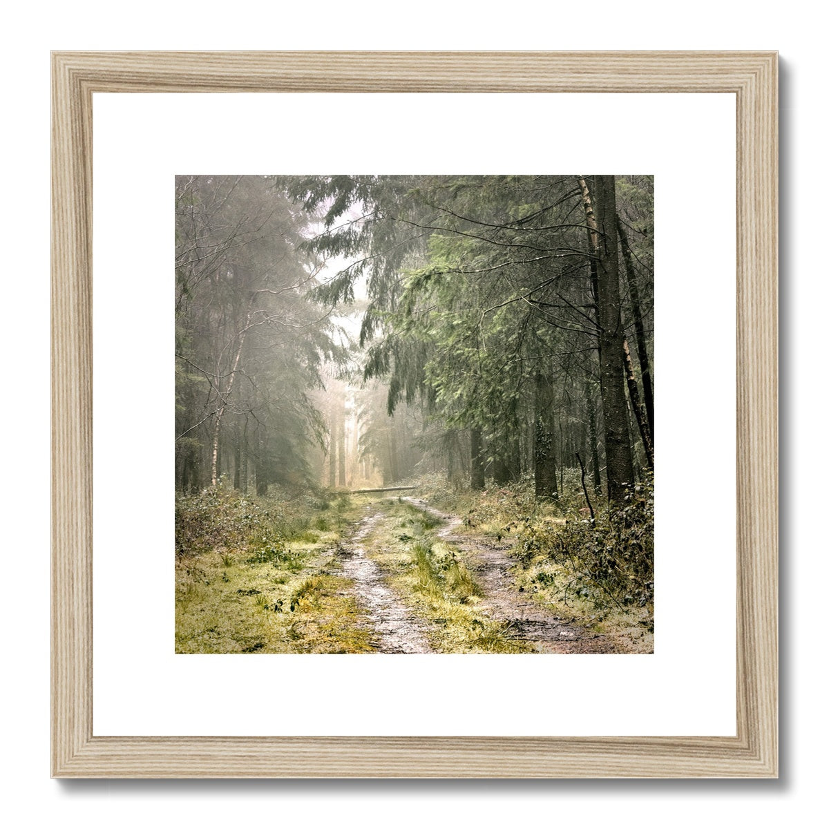 "Wetlands" Framed & Mounted Print