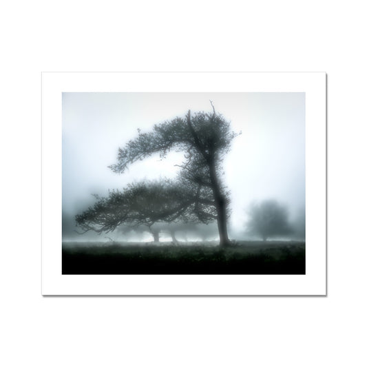 "In To The Wind" Fine Art Print